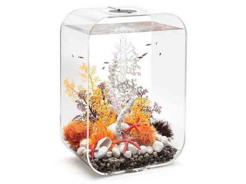 方形圓角亞克力小魚缸